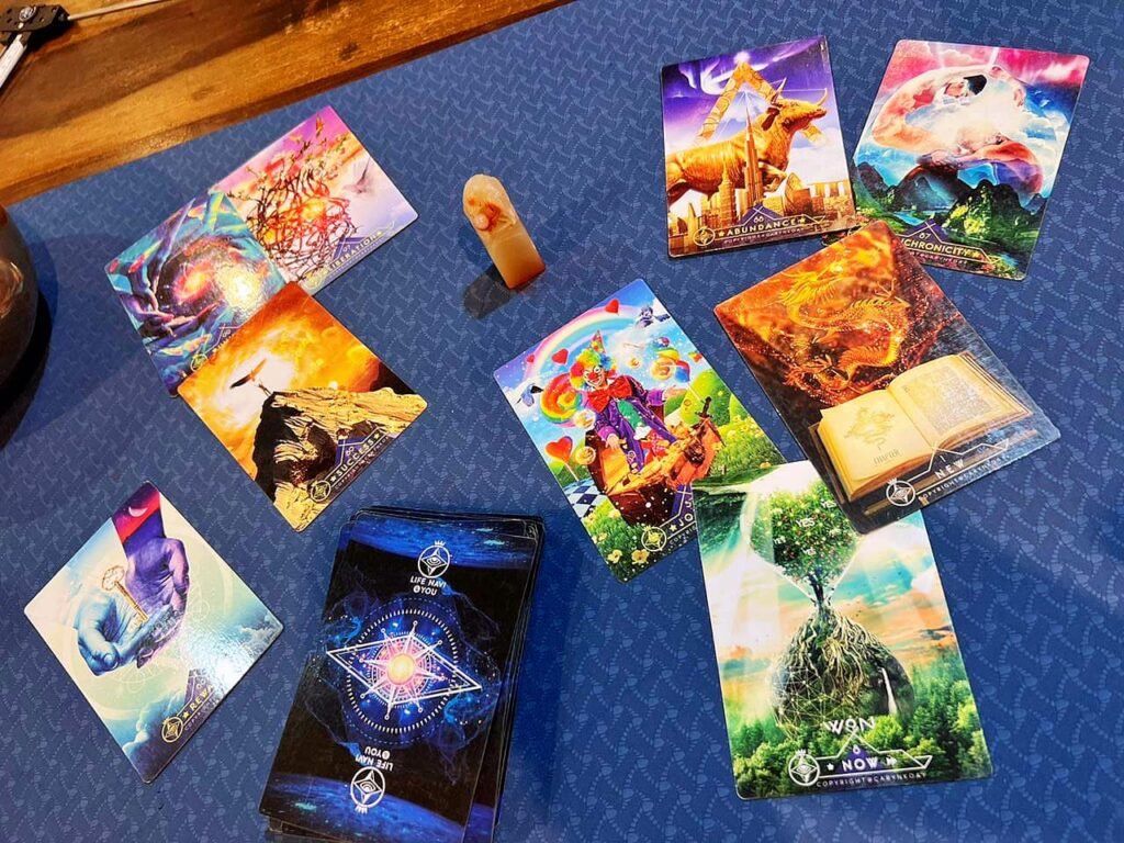 lifenaviandyou-photo